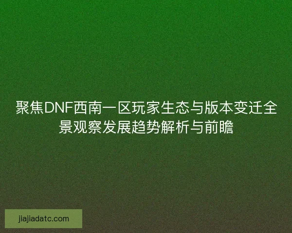 聚焦DNF西南一区玩家生态与版本变迁全景观察发展趋势解析与前瞻