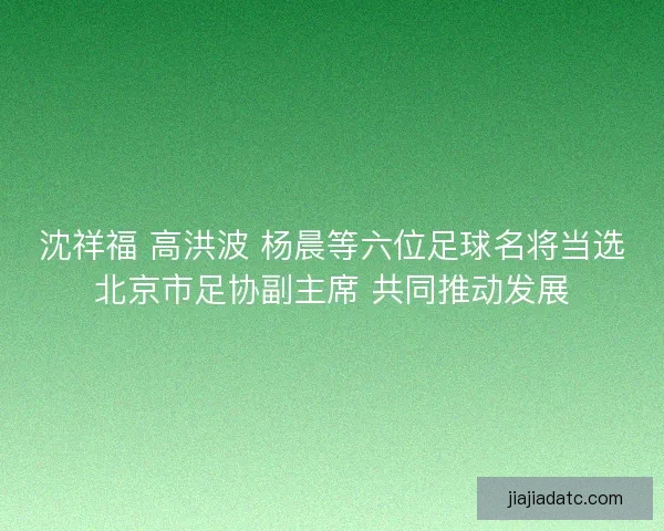 沈祥福 高洪波 杨晨等六位足球名将当选北京市足协副主席 共同推动发展