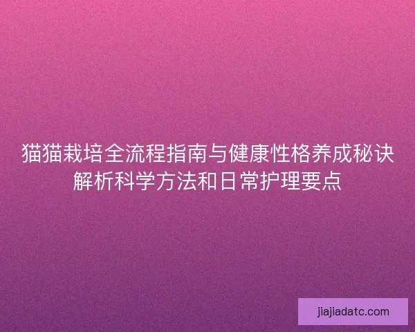 猫猫栽培全流程指南与健康性格养成秘诀解析科学方法和日常护理要点 猫猫栽培全流程指南与健康性格养成秘诀解析科学方法和日常护理要点